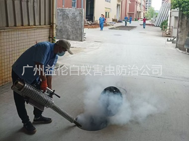 新華街道消滅蚊蟲工程