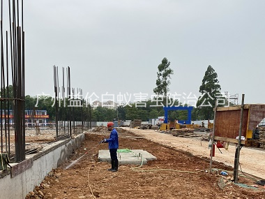 炭步地基白蟻預(yù)防工程